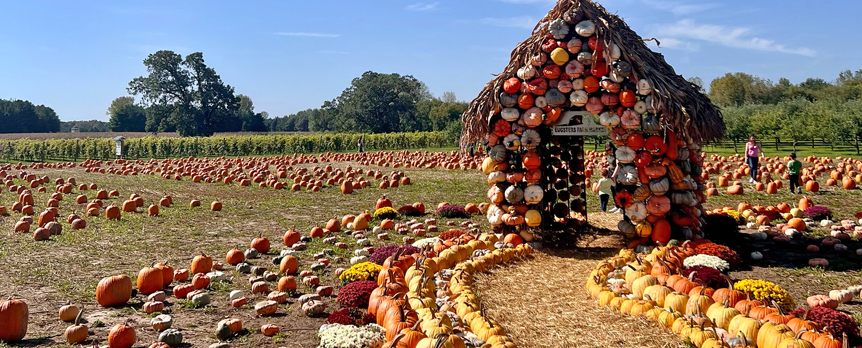 Fall fun at Eugster's in Stoughton, Wisconsin