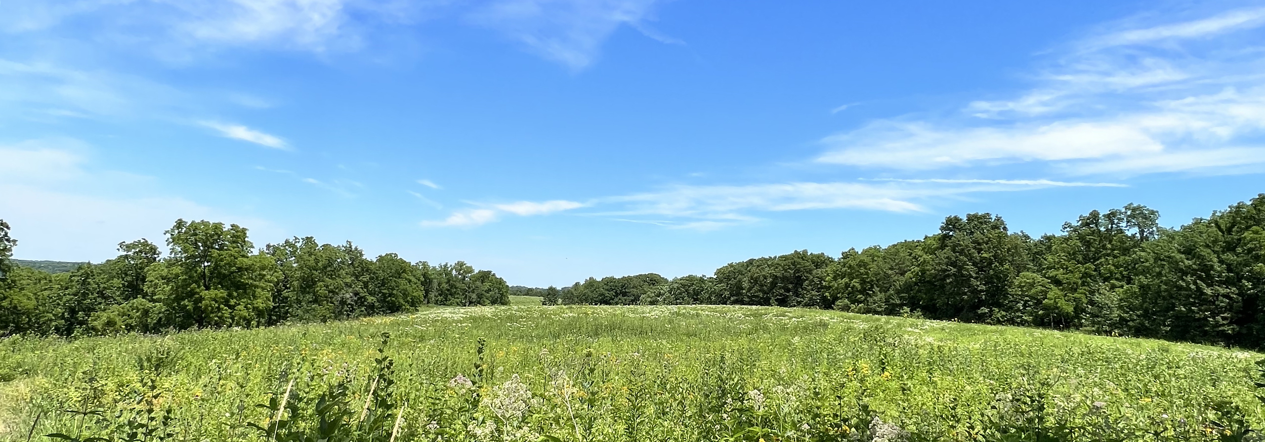 Homes for Sale in Deforest, WI Sprinkman Real Estate